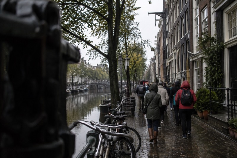 A guide leading a compact group along a tree-lined canal, tall narrow houses with iron hoisting beams above them, Amsterdam, Netherlands