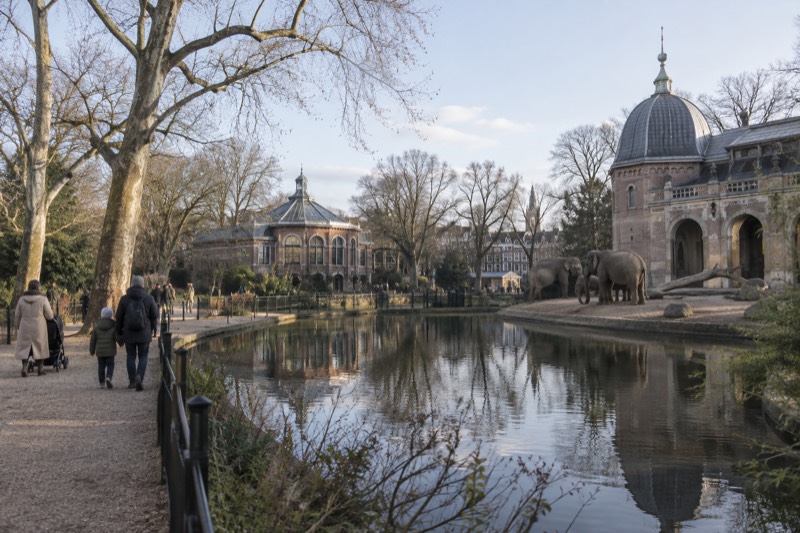 A nineteenth-century city zoo with mature plane trees, gravel paths and ornate brick animal houses around a still pond, families walking, Amsterdam, Netherlands