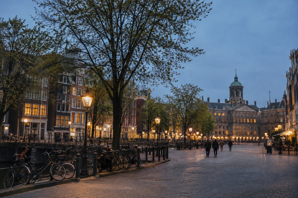 A calm residential Amsterdam street with trees and parked bicycles