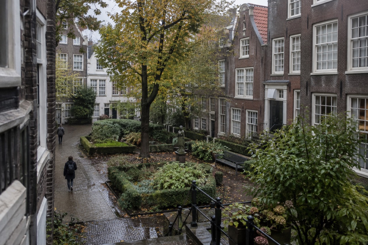 A quiet Amsterdam courtyard garden surrounded by tall brick houses on a soft morning