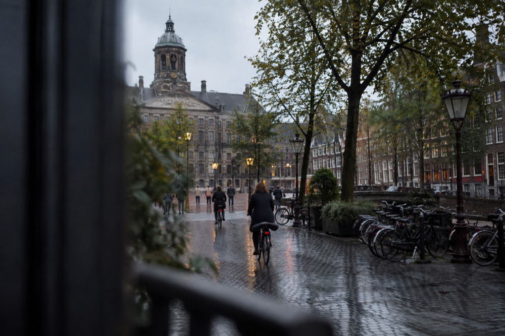 A calm residential Amsterdam street with trees and parked bicycles in the early evening