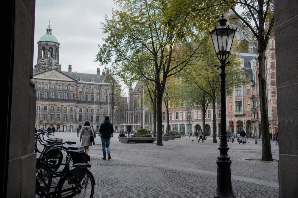 A quiet Amsterdam street corner with trees and brick facades in afternoon light