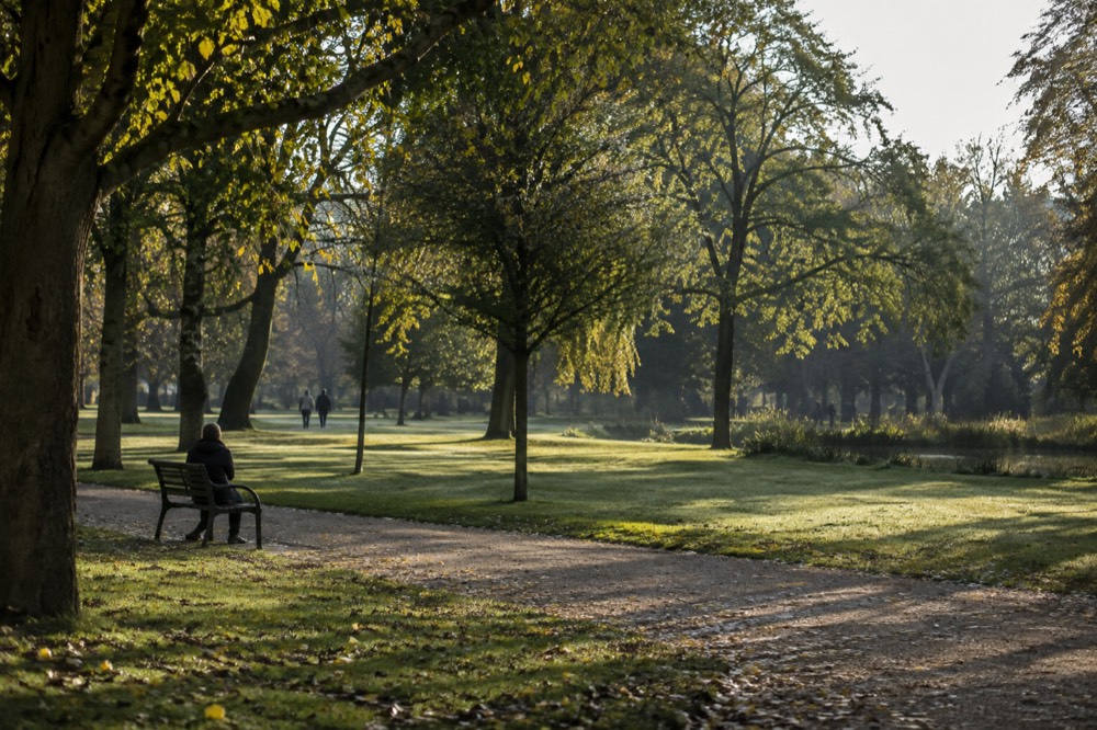 Oosterpark in Amsterdam Oost with trees and open grass