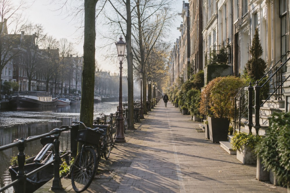 A street-level view of The Plantage on an ordinary weekday morning