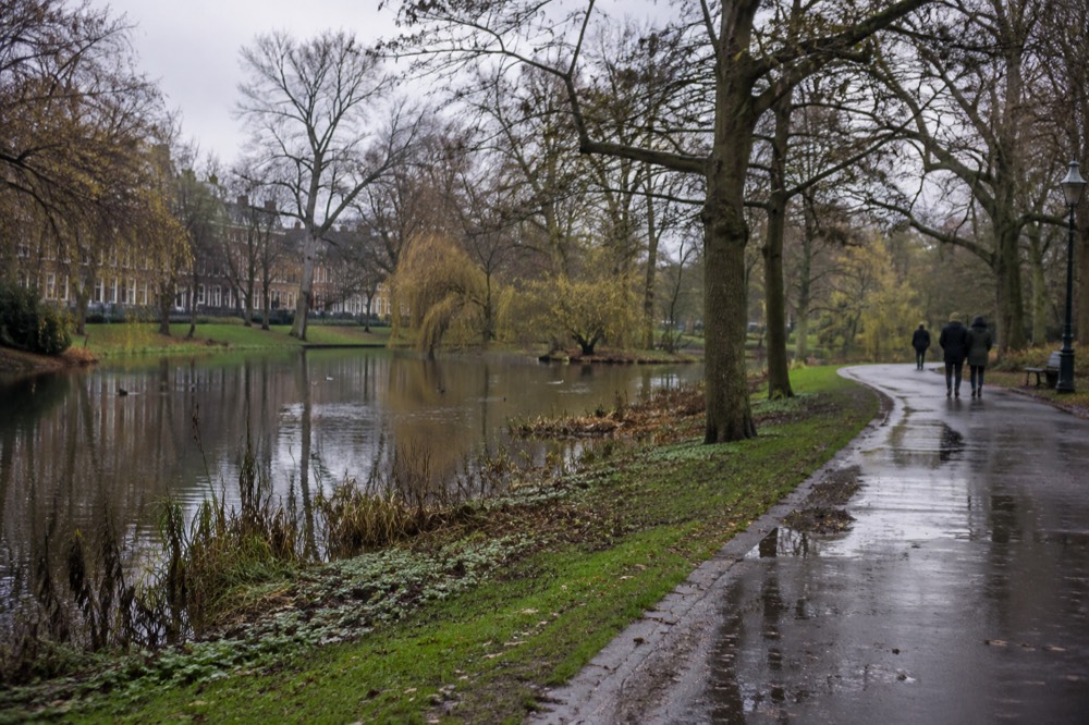 A green park with a pond, winding footpaths and mature trees in late afternoon light