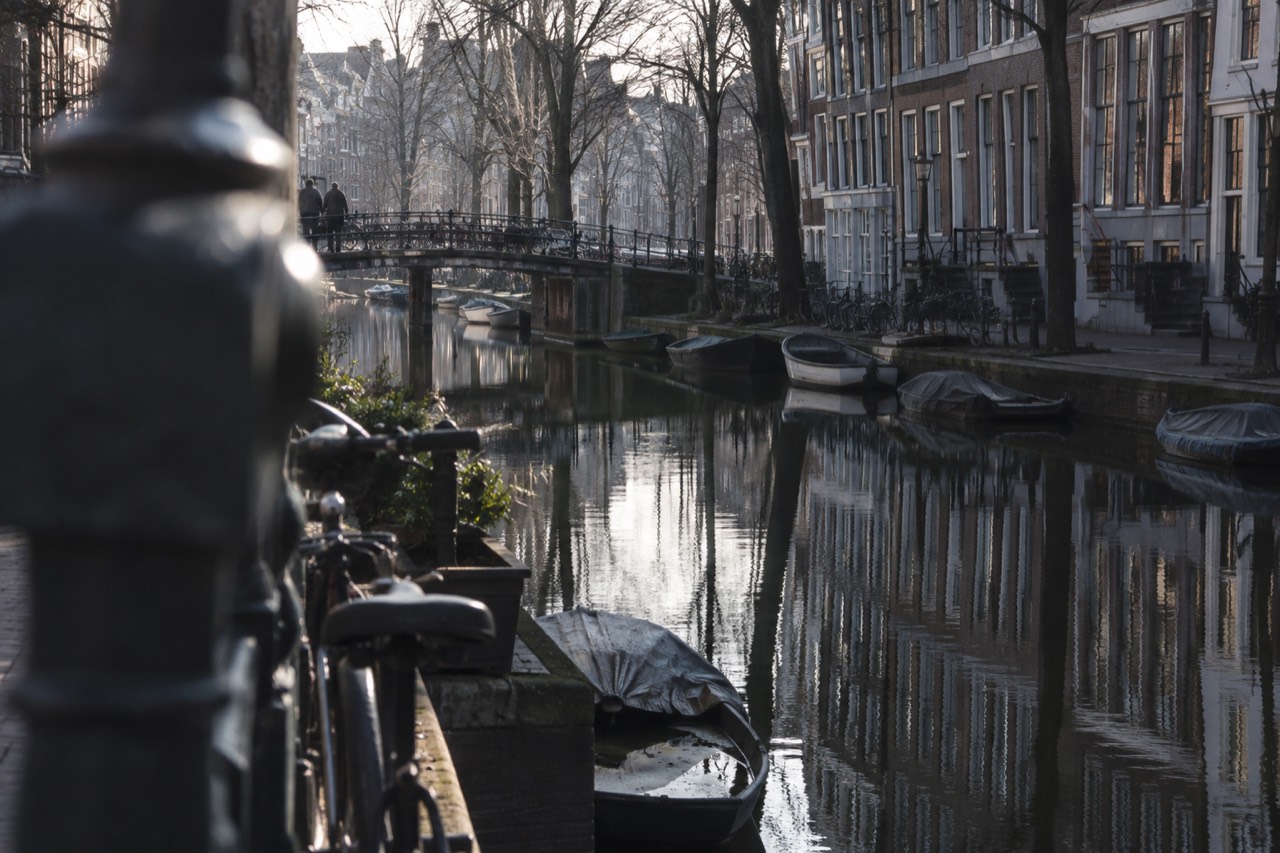Canal houses and trees reflected in a quiet Jordaan canal in morning light