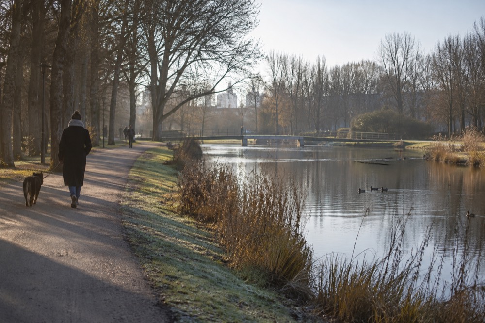 A canal bridge and moored boats close to Westerpark