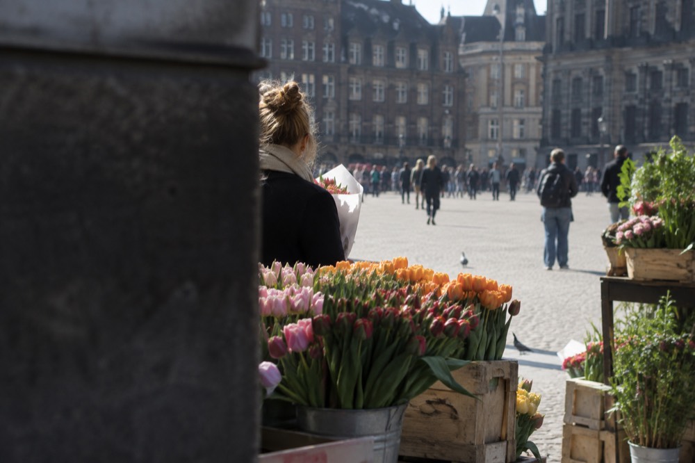 A wide view across the water towards Dam Square