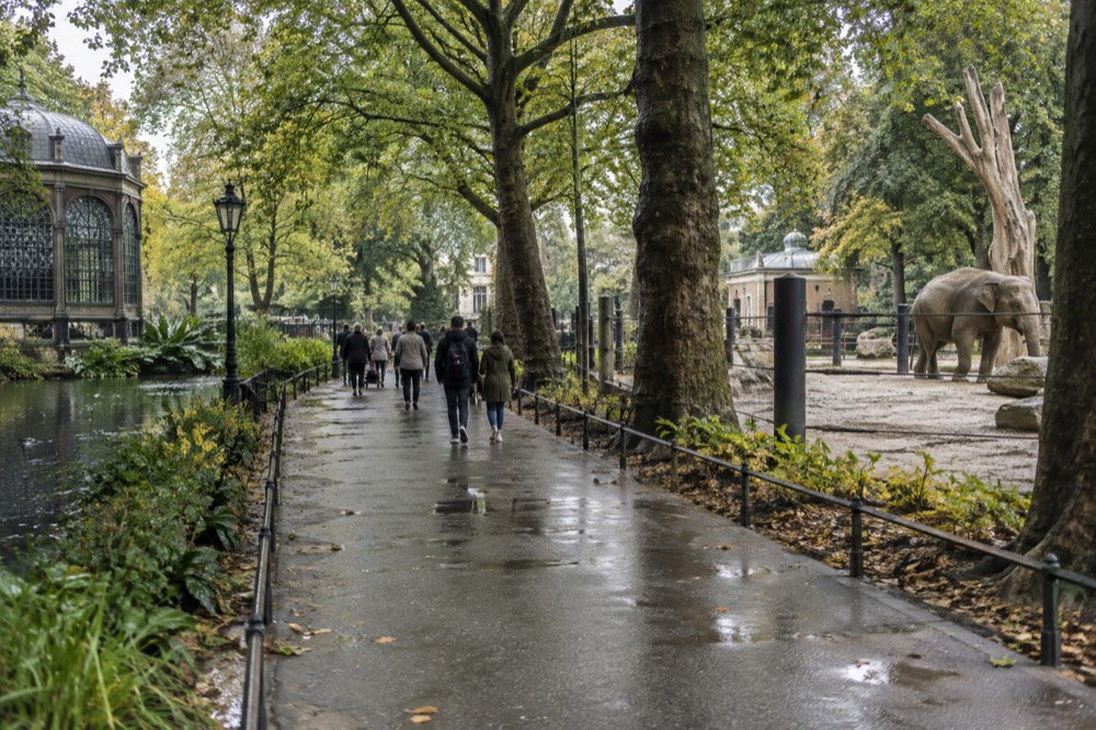Wide tree-lined avenue inside a historic zoo with large enclosures and visitors walking