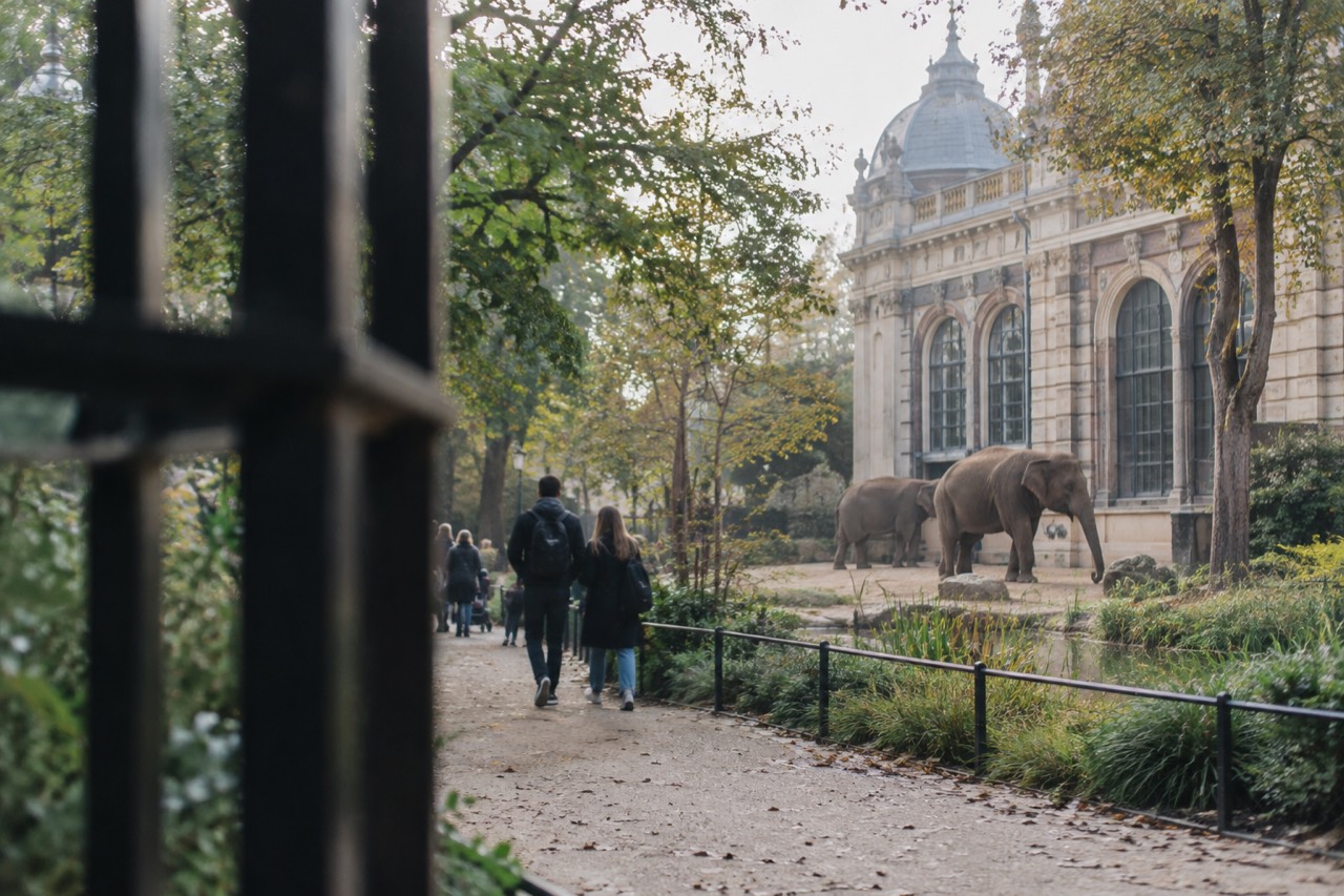 Tree-lined path beside a historic zoo building with a grand 19th-century facade