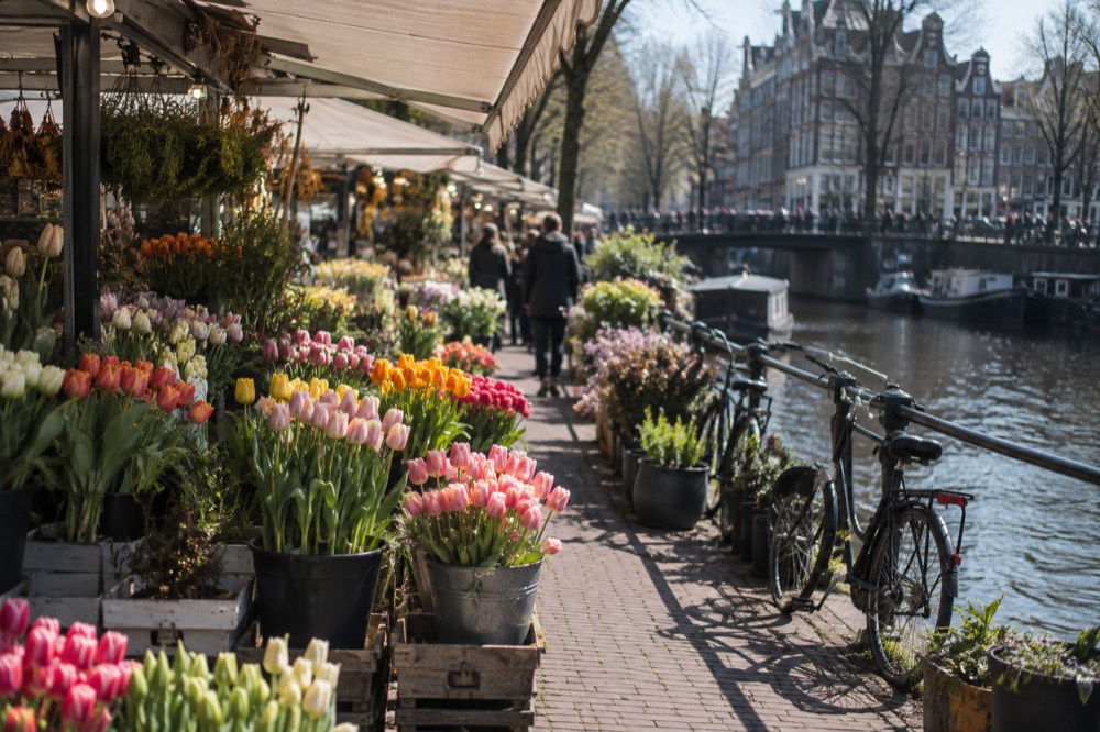 Flower stalls with buckets of tulips lining a canal in Amsterdam