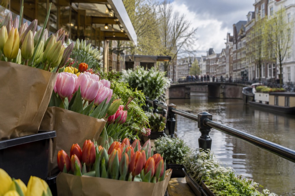 A canal bridge and moored boats close to Bloemenmarkt