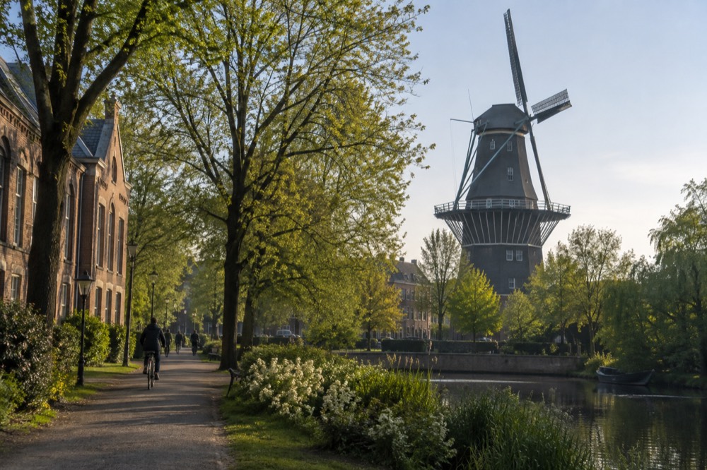 A green city park with tall trees and a brick museum building along a quiet path