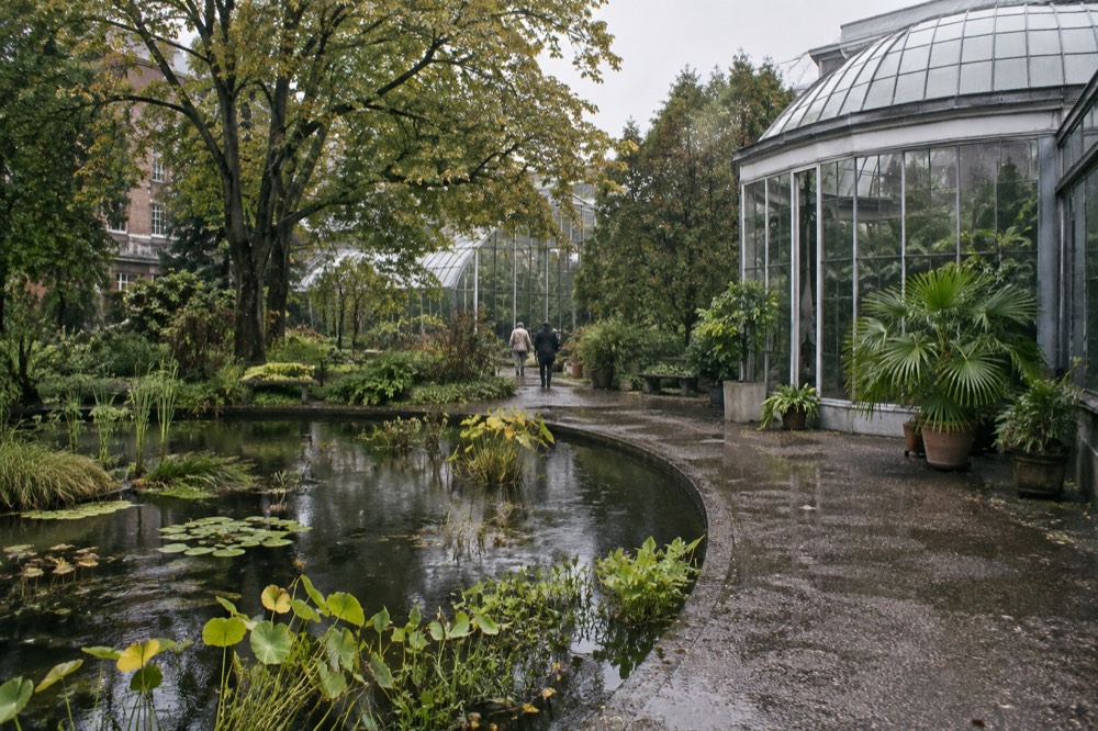 A street-level view of Hortus Botanicus on an ordinary weekday morning
