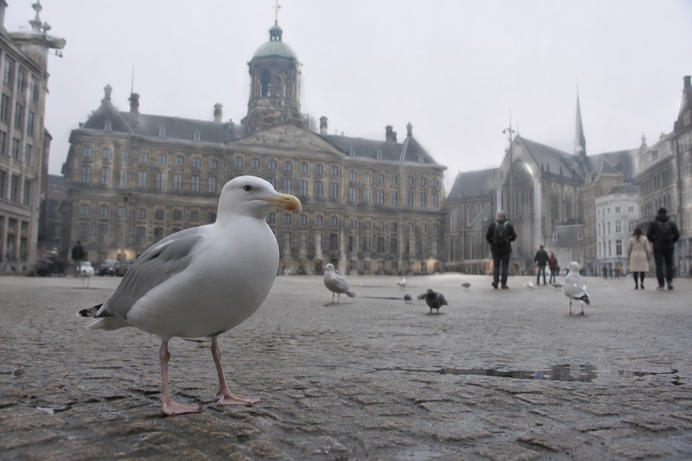A canal bridge and moored boats close to Dam Square