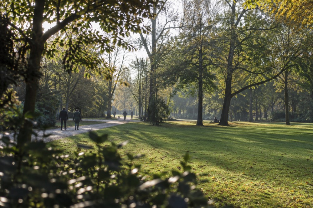 Wide green lawn in Vondelpark with tall trees and a winding footpath