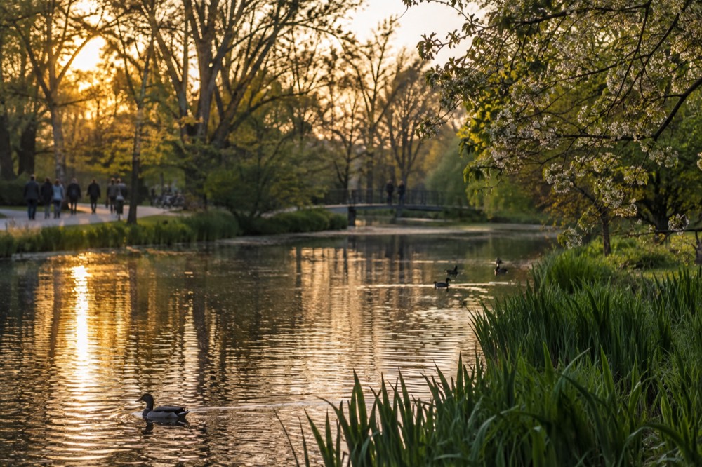 Late afternoon light on the buildings around Vondelpark