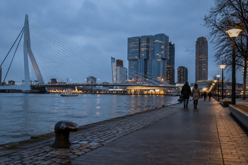 Rotterdam, Delft and The Hague: The Cities Day Trip