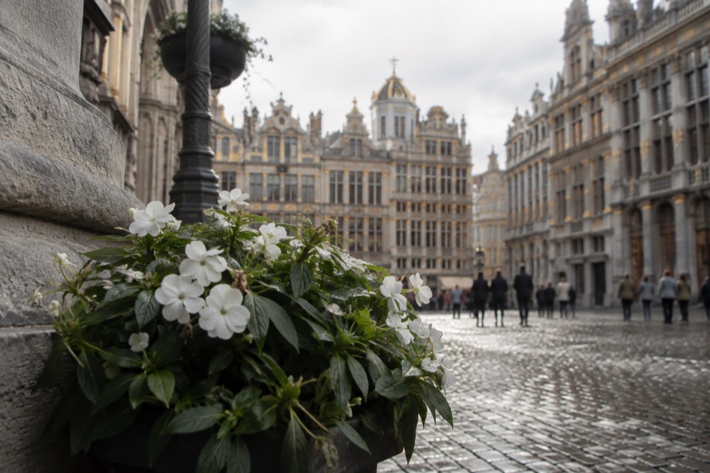 Cobblestone street with ornate baroque facades near the Grand Place in Brussels