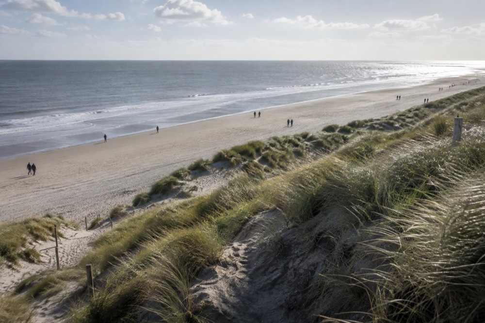 Wide sandy beach on Texel with grassy dunes and a calm grey sea