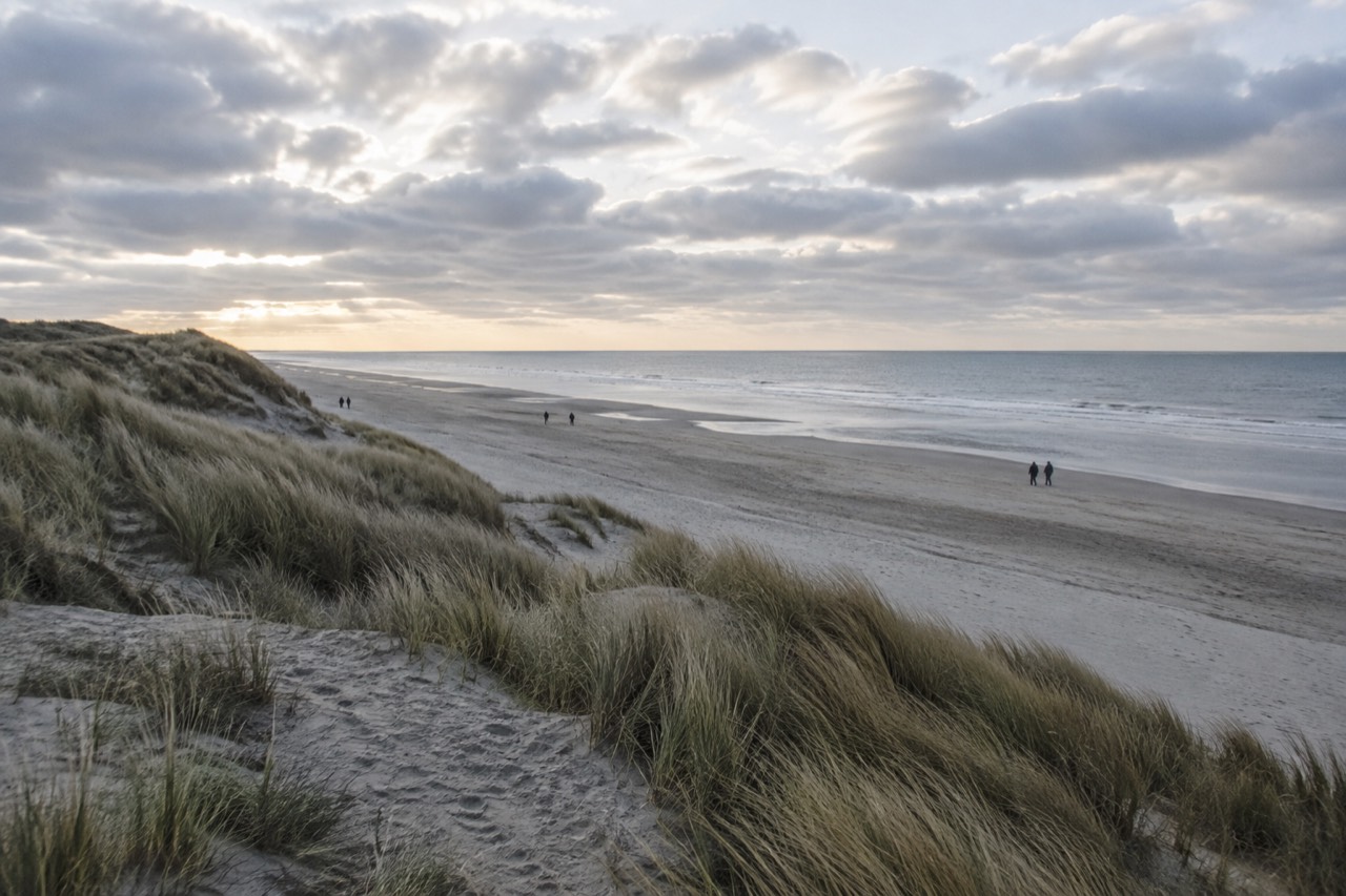 Wide view over Texel beach with dunes, grass and a calm North Sea under a cloudy sky