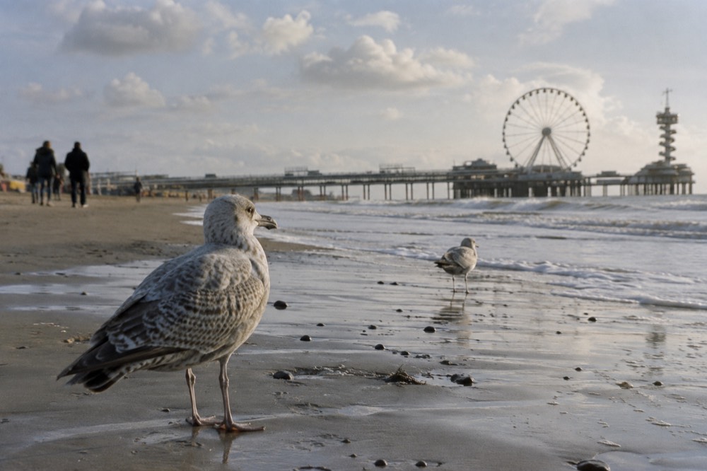 A Sample Day Trip Itinerary