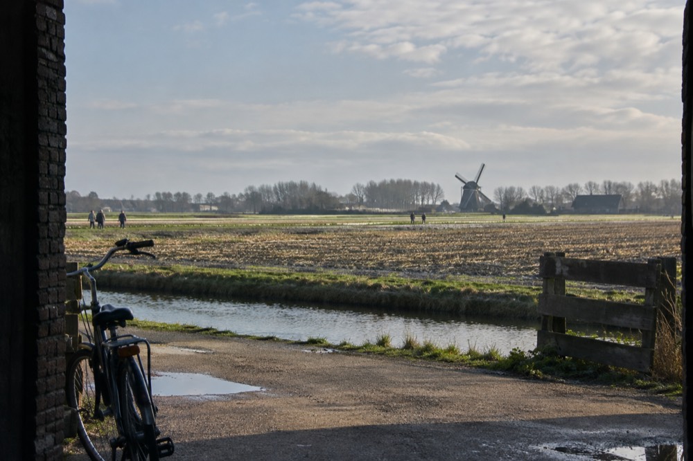 A wide view across the water towards Lisse