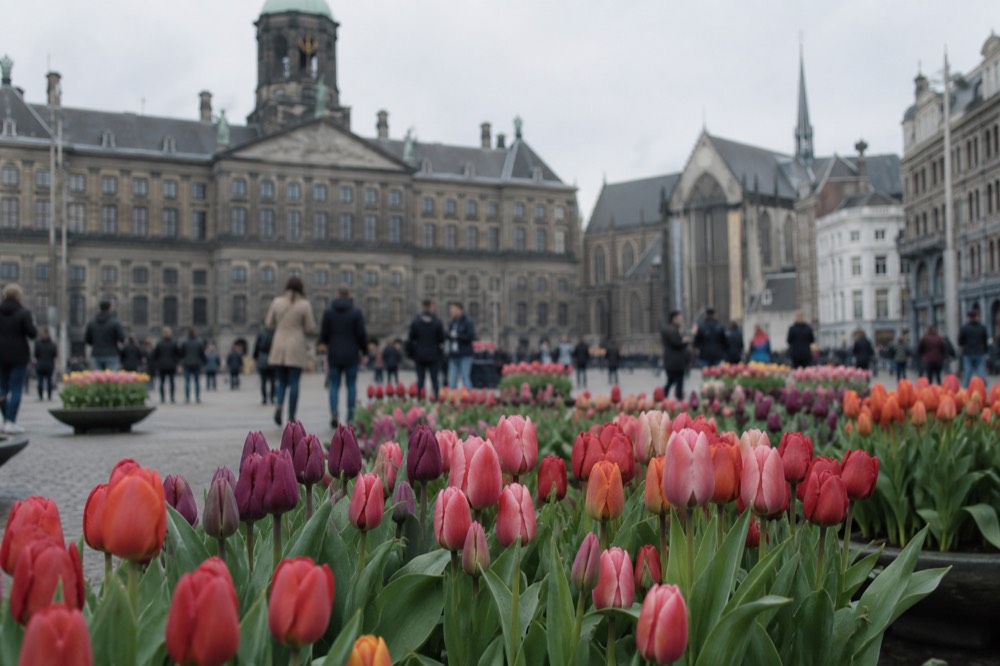 People walking past Dam Square, seen from across the street