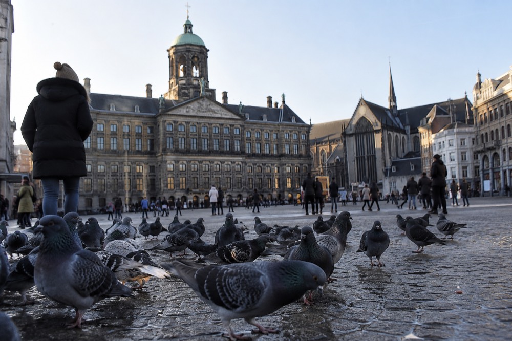 A wide view across the water towards Dam Square
