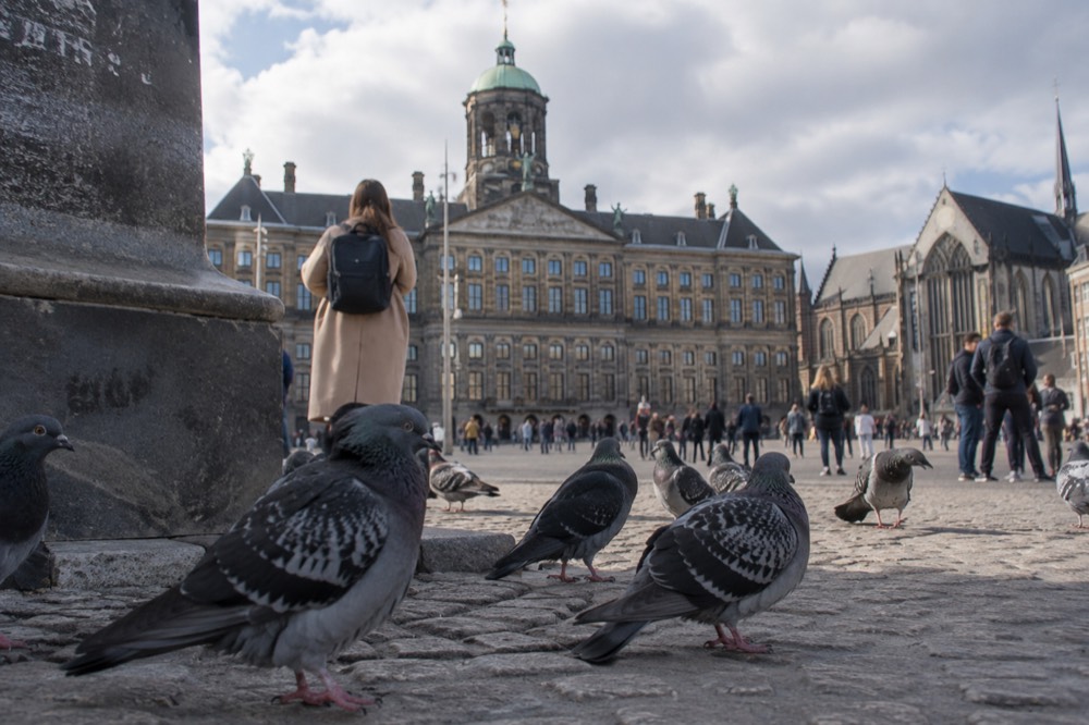 The waterfront near Dam Square under a broad grey northern sky