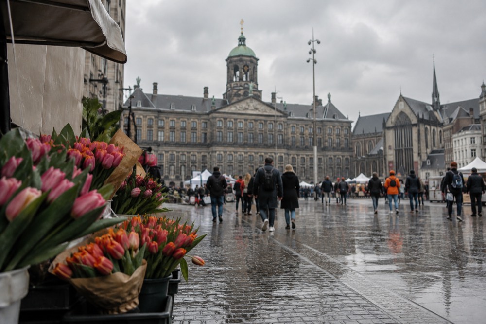 Spring in Amsterdam: Tulips, King's Day and a Sky That Cannot Make Up Its Mind