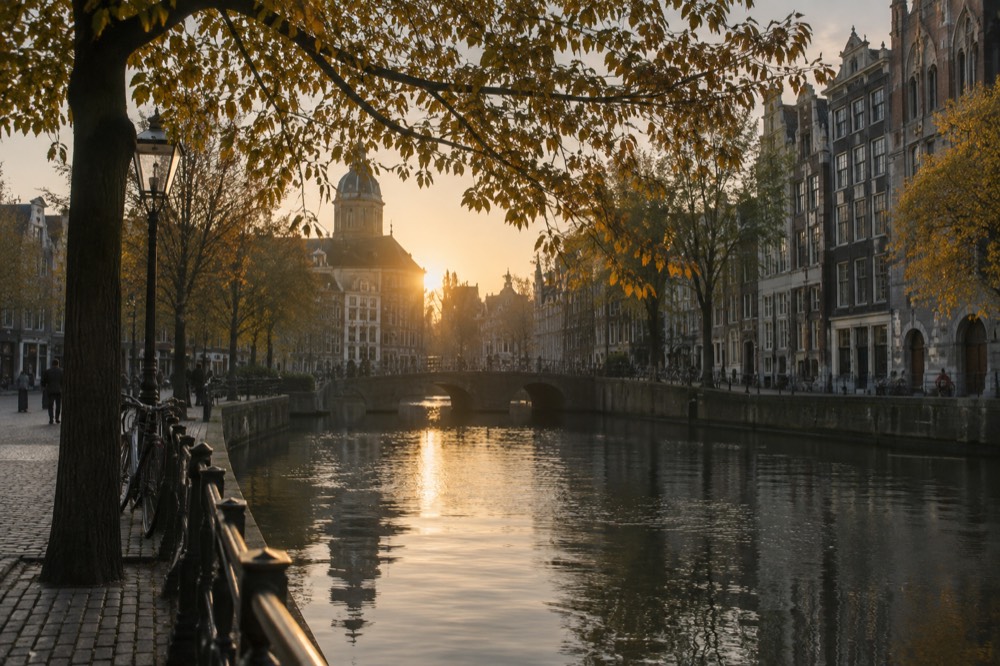 A quiet corner of Dam Square with trees overhanging the water