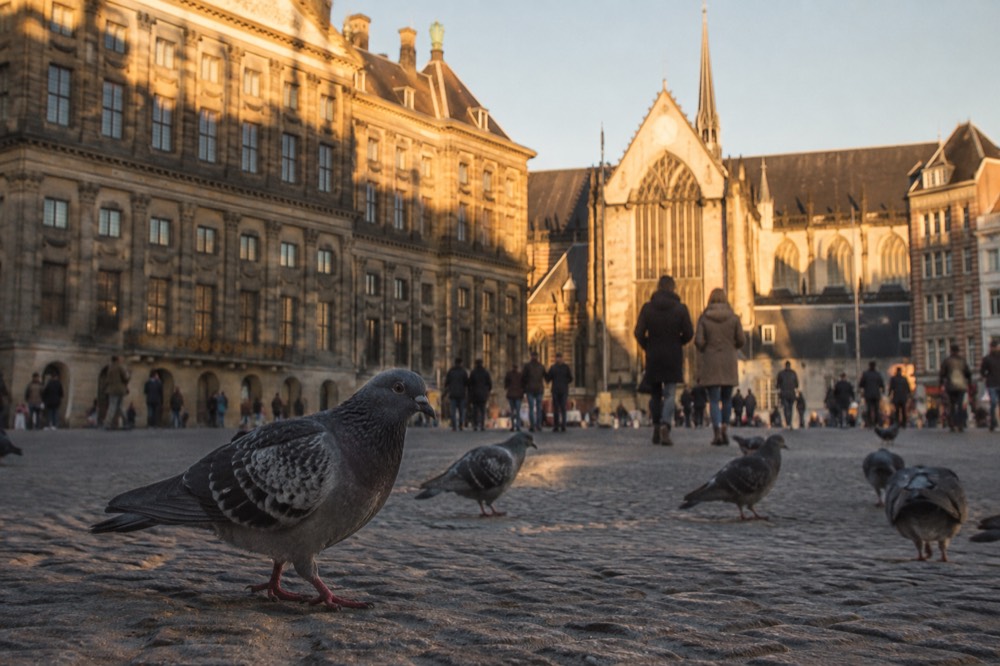 Late afternoon light on the buildings around Dam Square