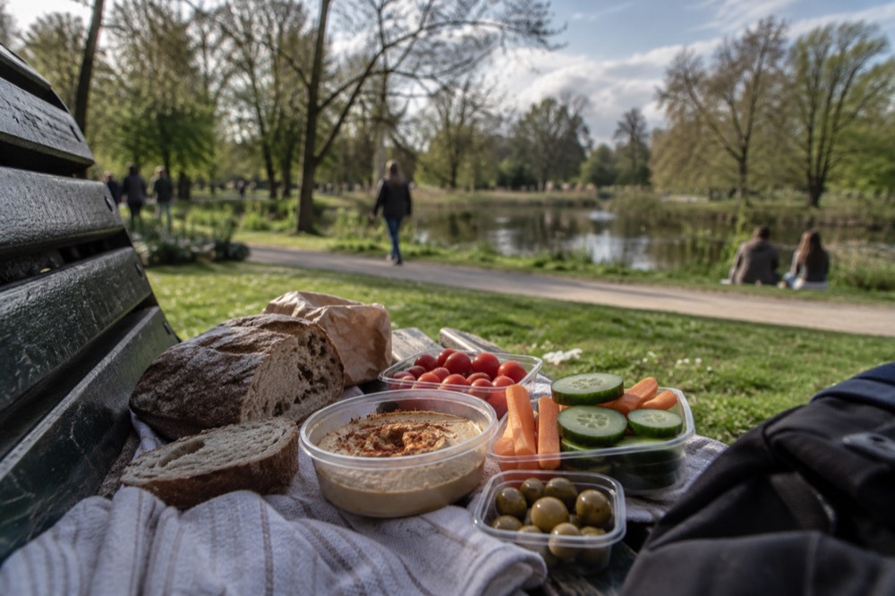 A vegan picnic of bread, hummus and vegetables on a bench in Vondelpark