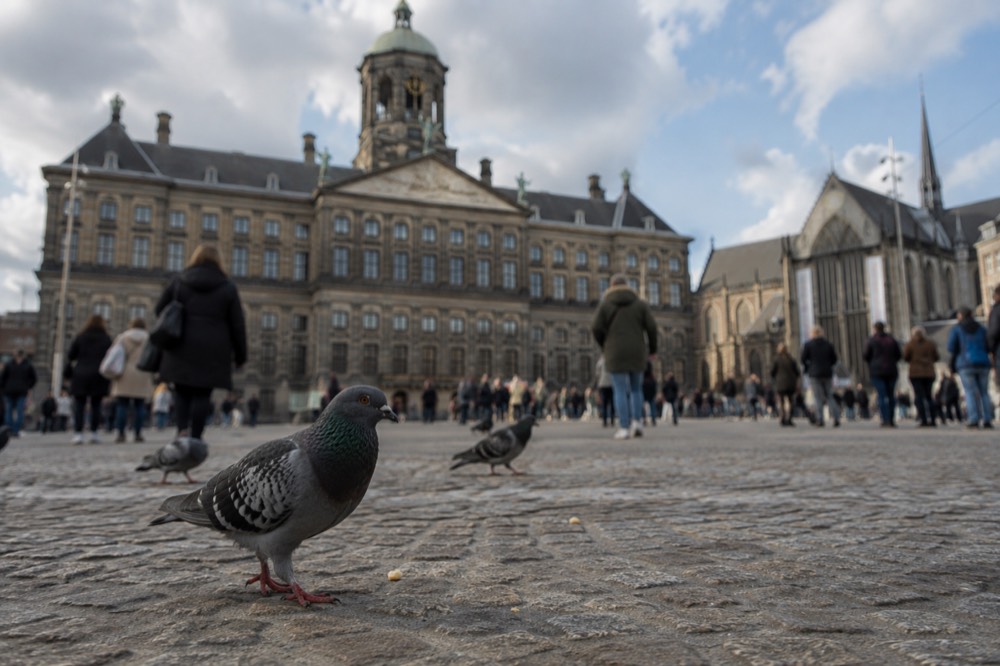 Day 3: The Anne Frank Story, De Wallen and the Old Centre
