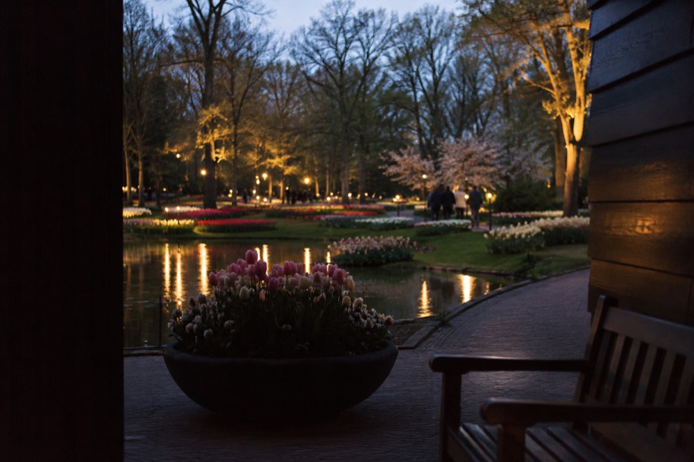 Day 5: Keukenhof in Spring, Haarlem in Every Other Season